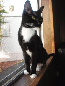 picture of #AB00059: Juno