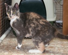 picture of #NS02616: Maribel