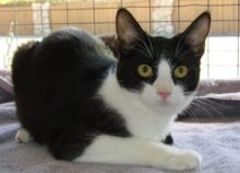 picture of #NS02623: Juanita
