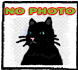 no picture of #NS02829: Devin is aviailable